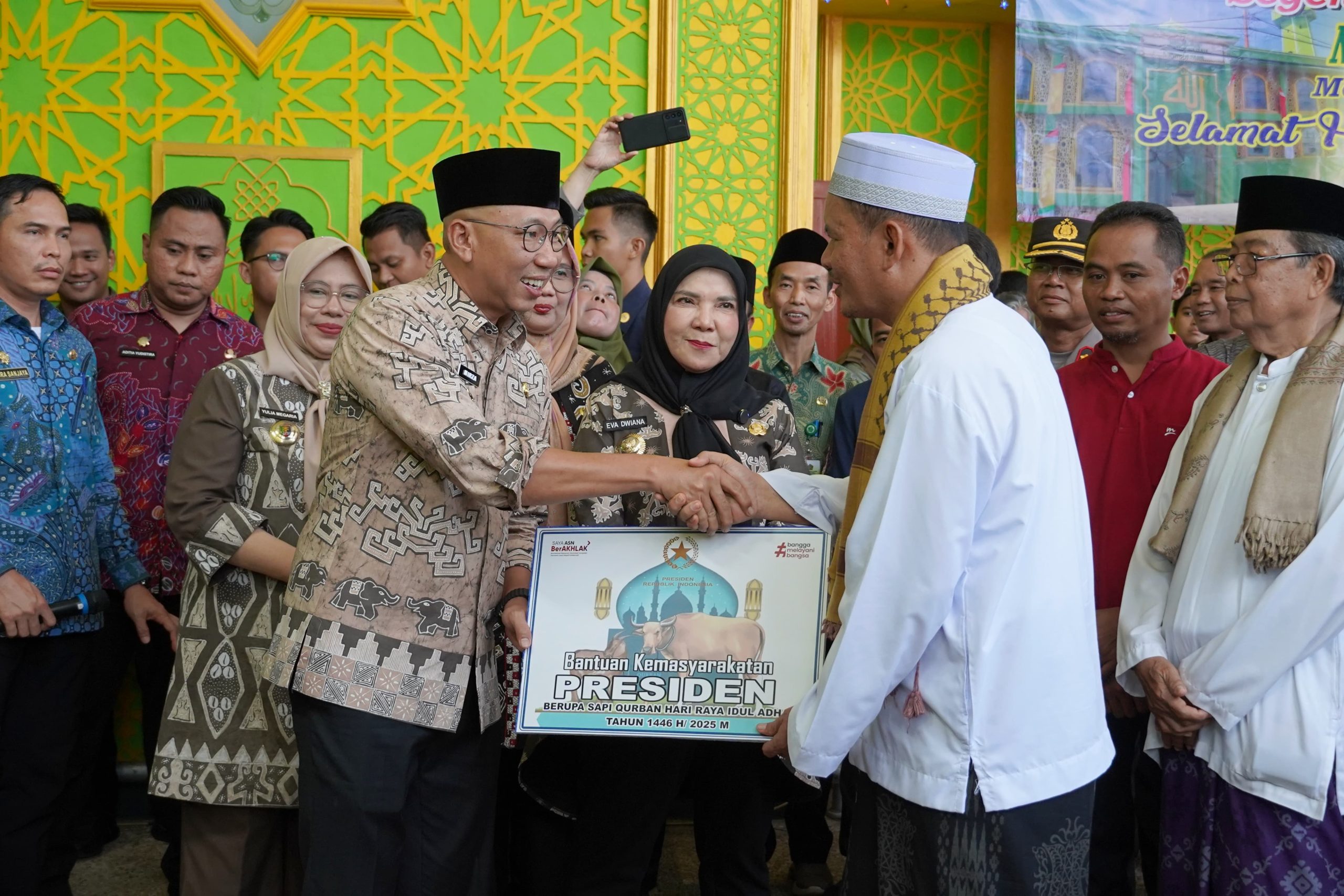 Gubernur Lampung Serahkan Bantuan Sapi Kurban dari Presiden RI