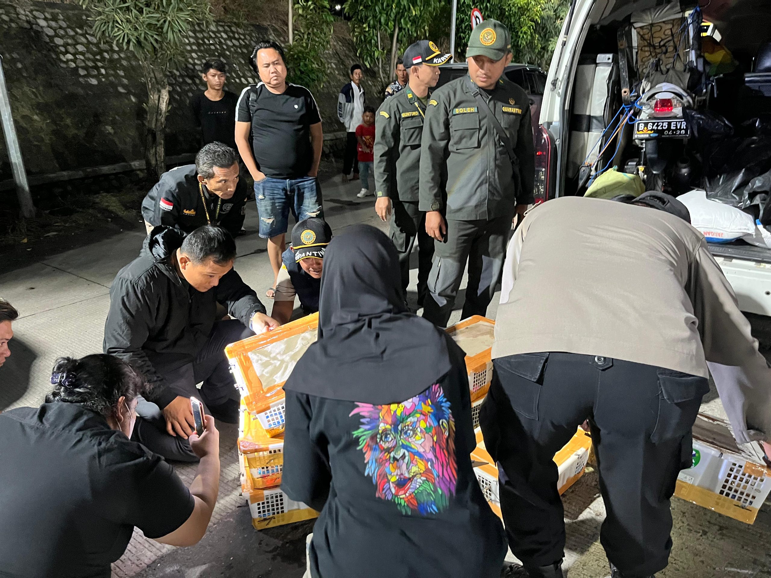 Ratusan Ekor Satwa Liar Jenis Burung Berhasil Diamankan Tim Gabungan KSKP Bakauheni