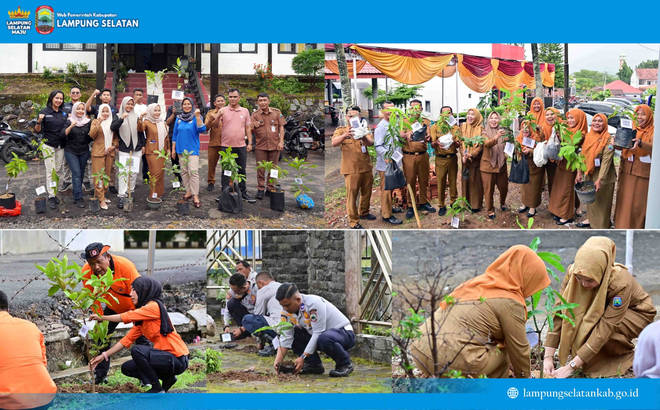 5.792 PPPK Paruh Waktu Lampung Selatan Tanam Pohon Serentak, Kampanye “Pohon Asuh” Gaungkan Gerakan Hijau dari Birokrasi